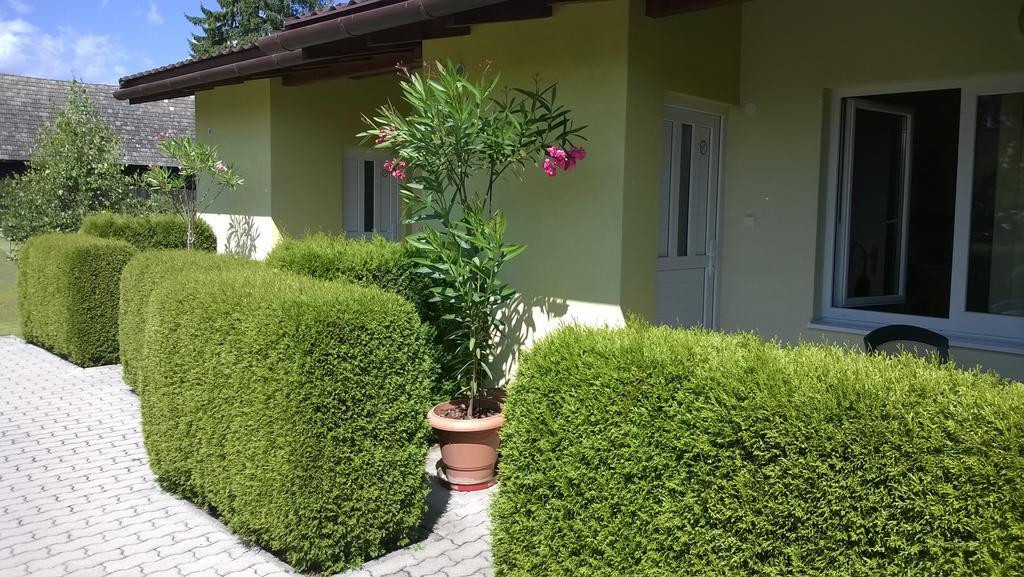 Privat No 13 Apartment Liptovsky Mikulas Phòng bức ảnh